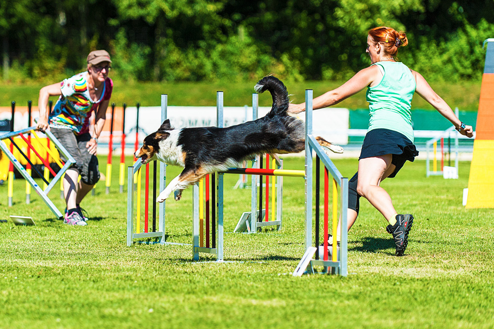 Agility... Spannung pur...