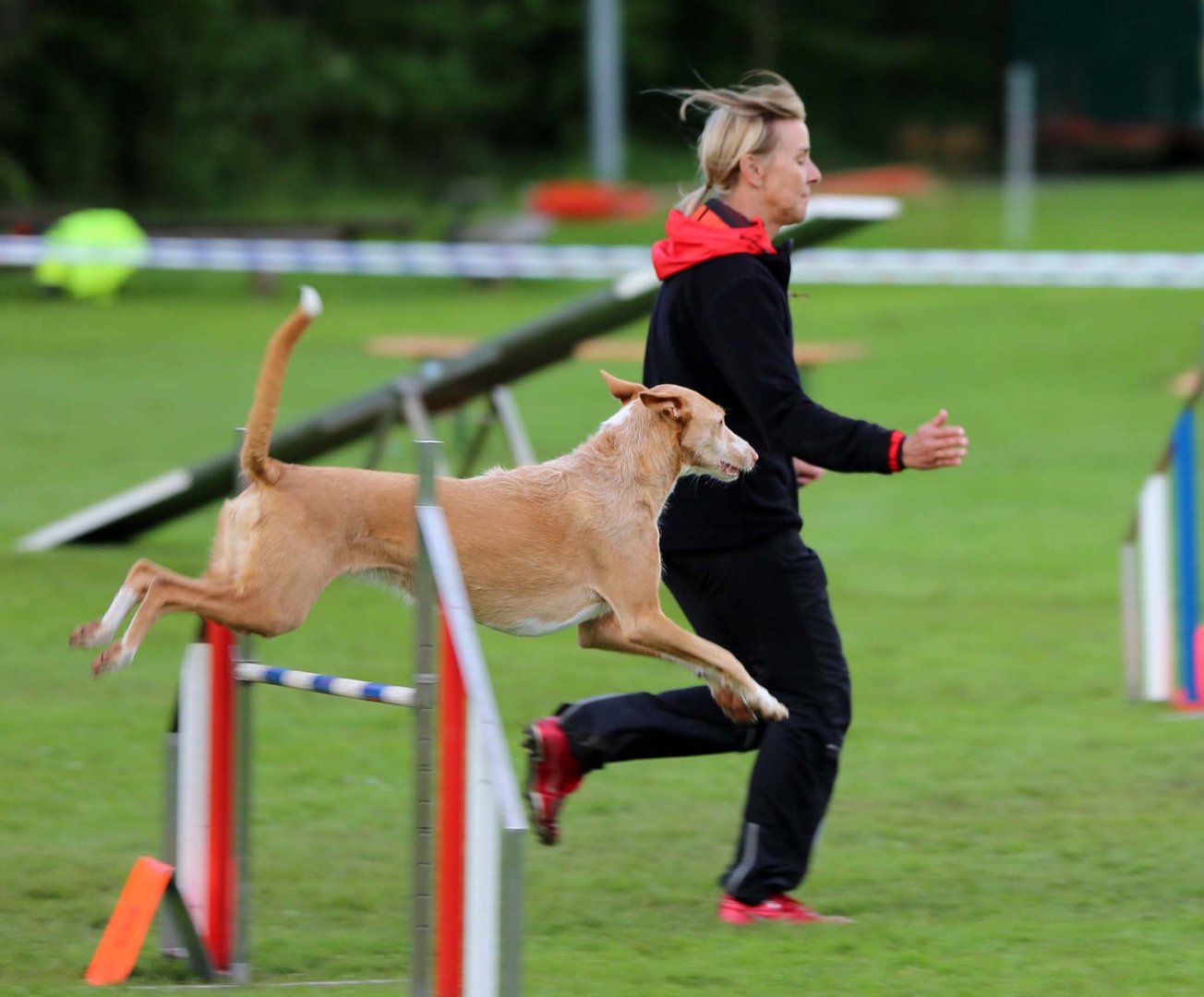 Agility-Teamarbeit