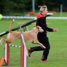 Agility-Teamarbeit