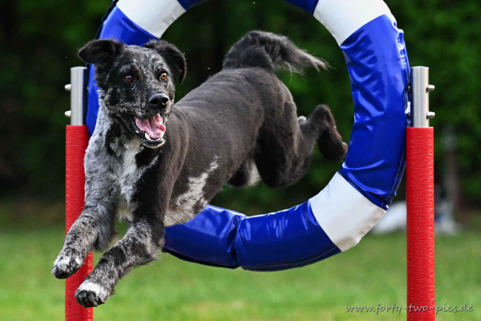 Agility Training