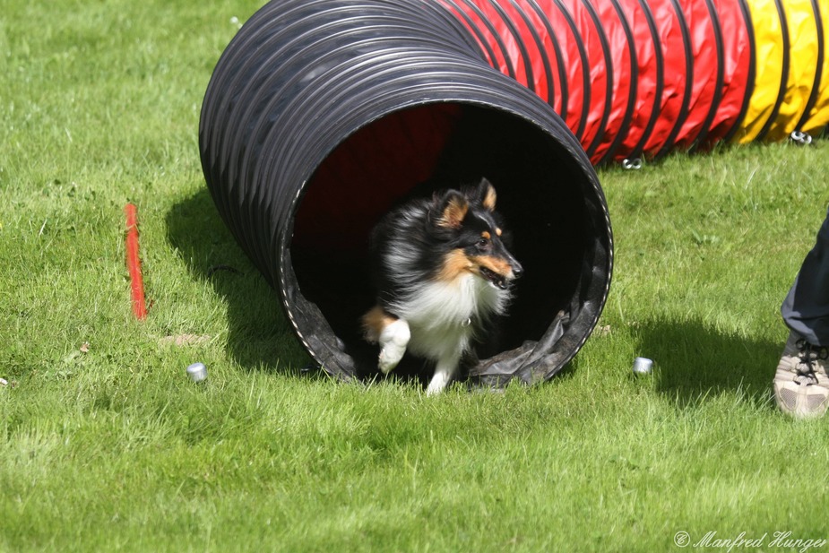 Agility - Tunnelausgang