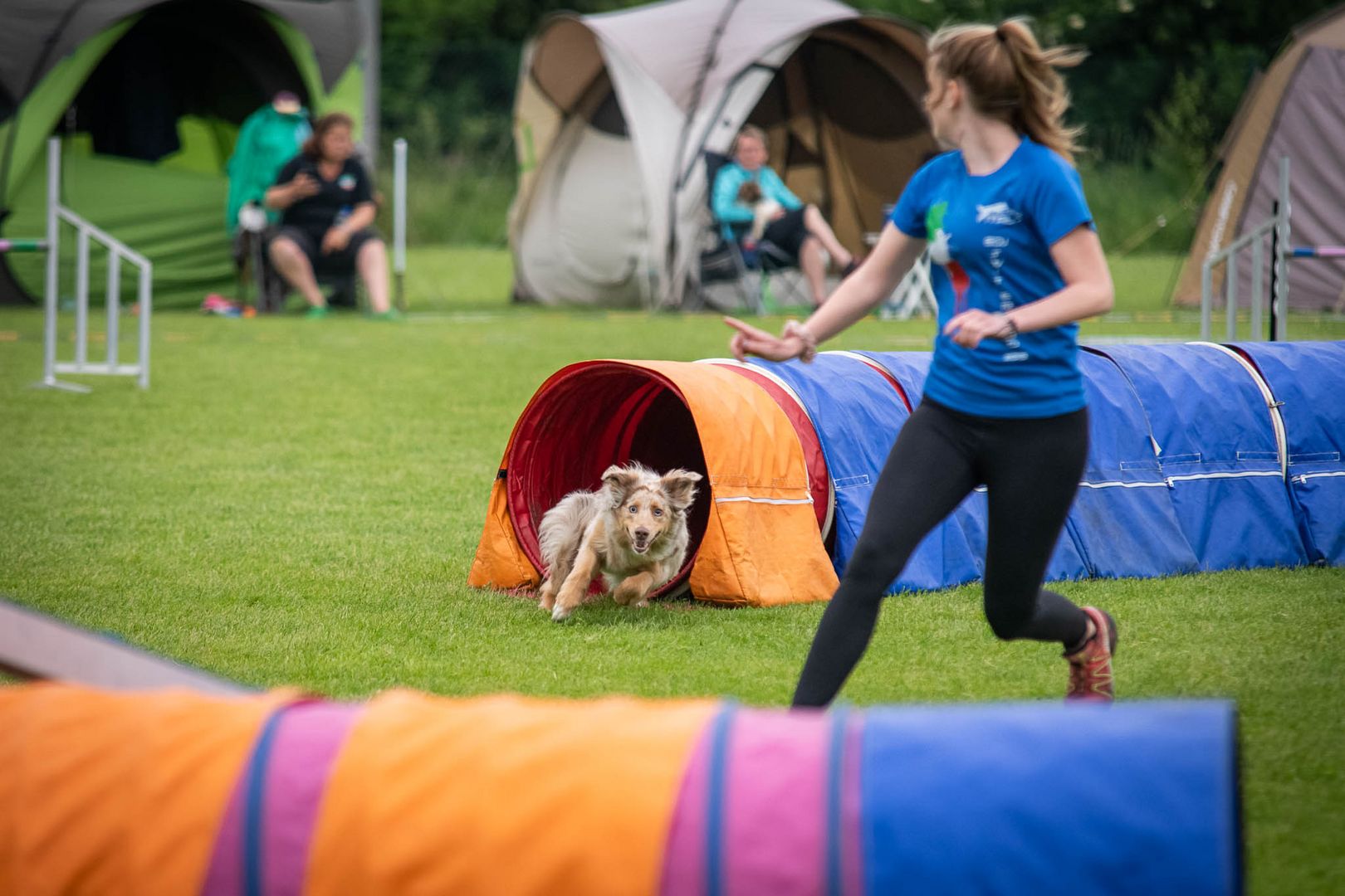 Agility-Turnier - Tunnelausgang