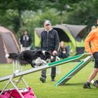 Agility-Turnier - Wippe