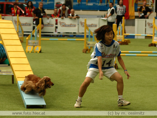 Agility WM 2005 - die Japaner im Kommen!