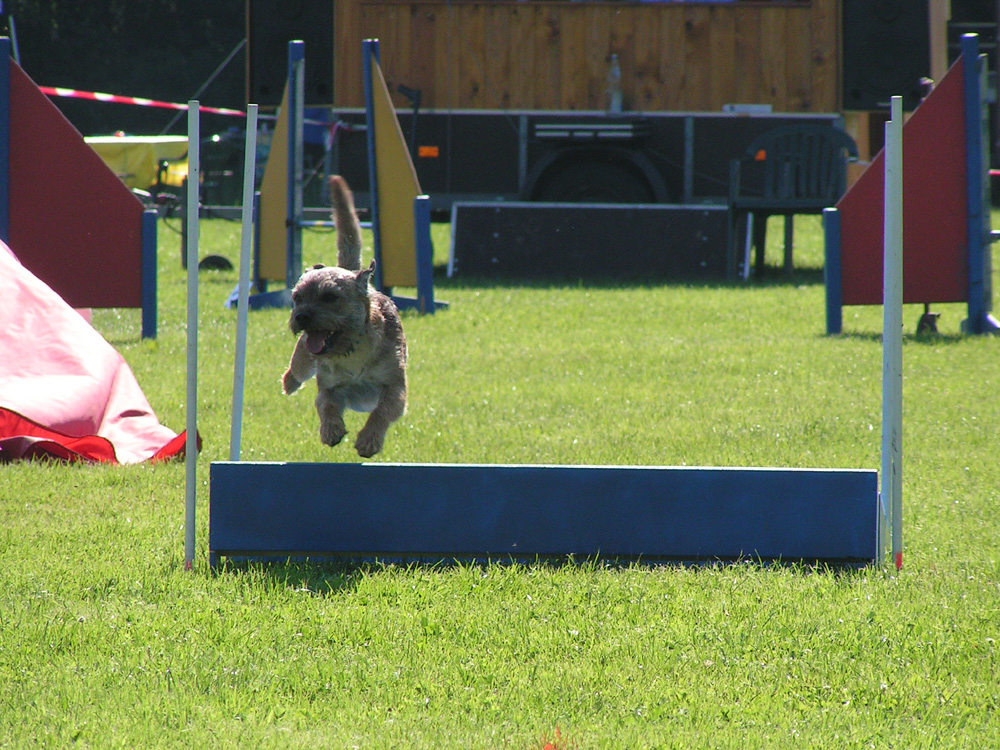 Agility01