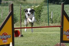 Agility3