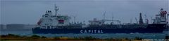 AGISILAOS / Oil/Chemical Tanker / Rotterdam