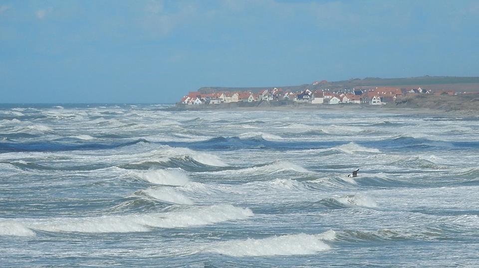 Agitée à la Pointe aux oies (62)