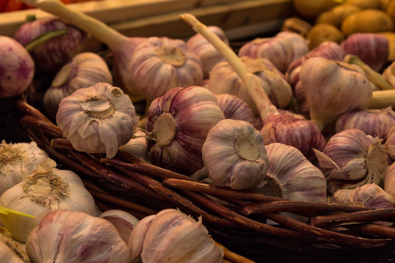 Aglio - gesehen auf dem Mercato Orientale in Genua