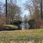 Agnesbrücke im Frühling