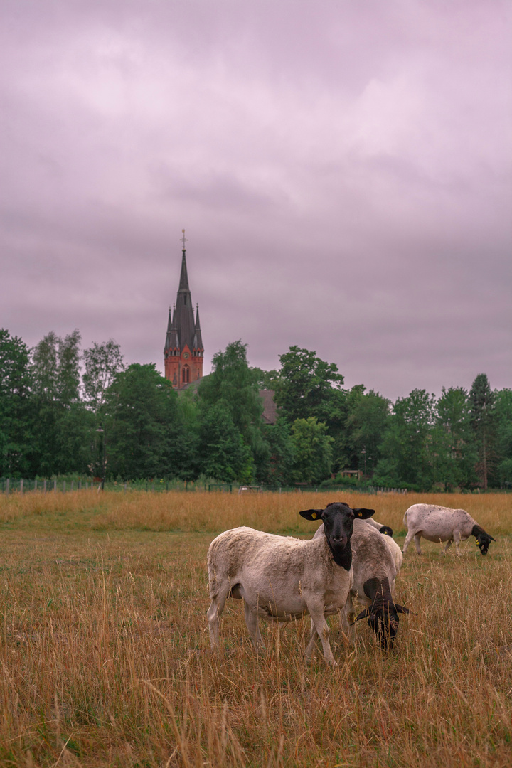 Agni Dei Foto Bild Mystische Orte Specials Weihnachten Bilder Auf Fotocommunity