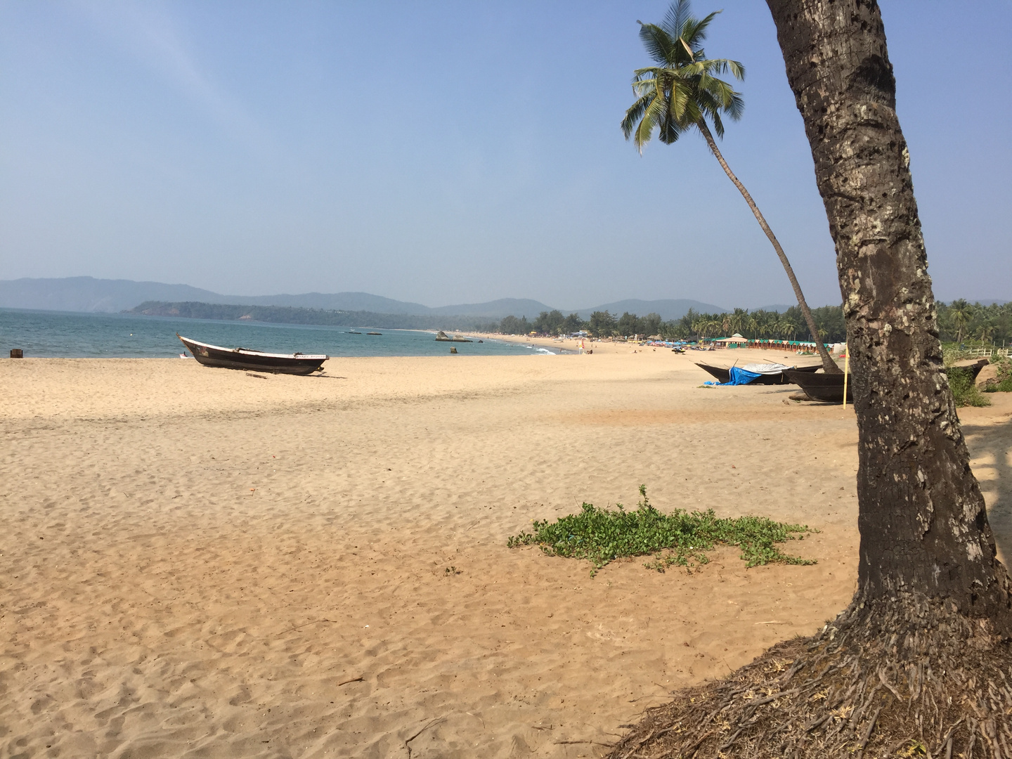 Agonda beach