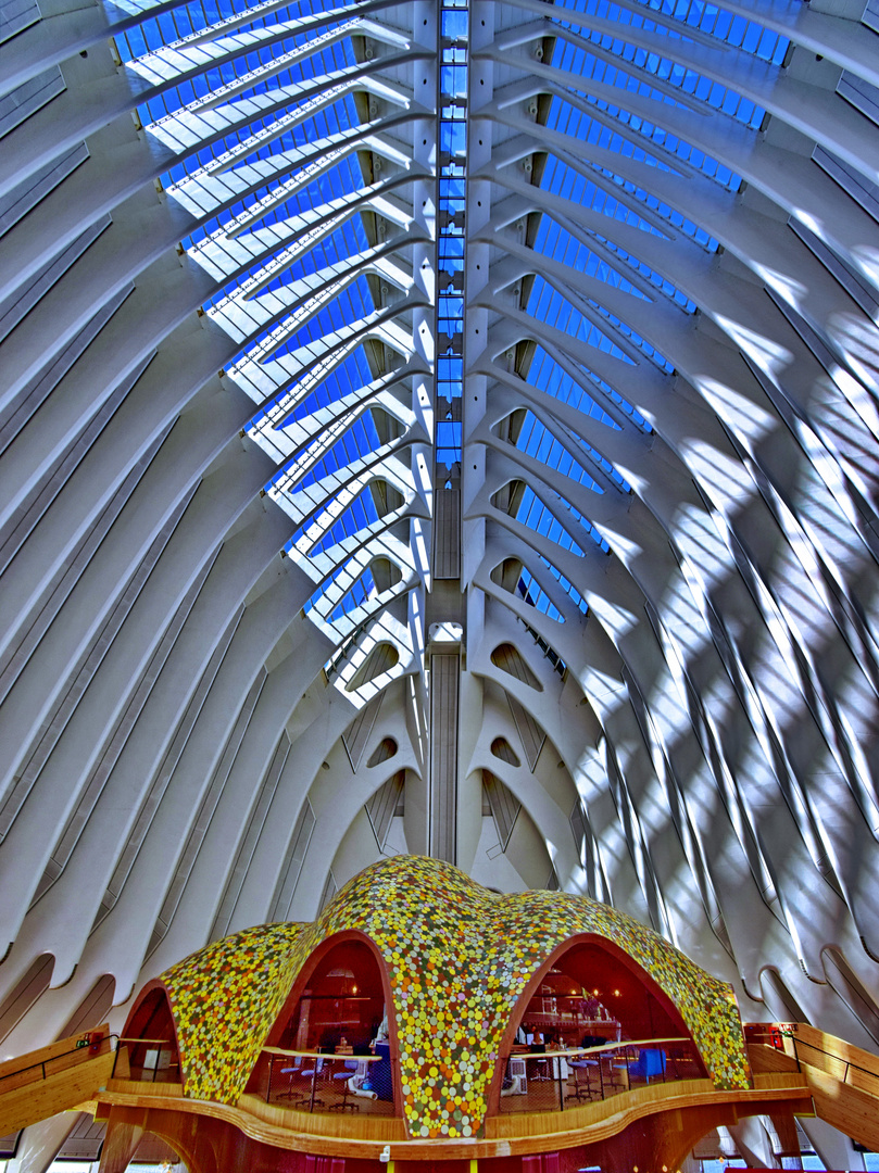 Agora CaixaForum Halle