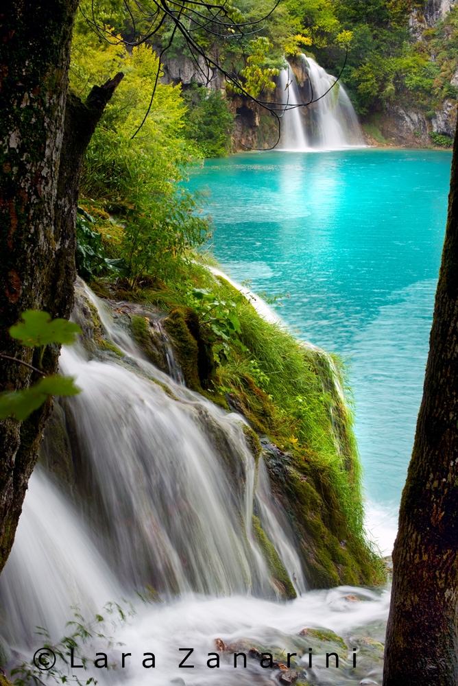 Agorà/Sotto i riflettori: "cascate" - 3