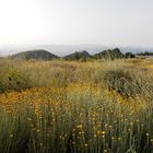 Agosto en Sierra Nevada