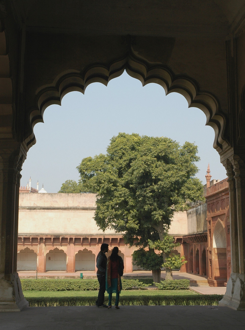 Agra Fort (5)