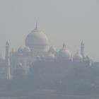 Agra, Taj Mahal in Nebel...