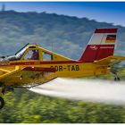 Agrarflugzeug PZL-106 Kruk auf der Hahnweide 2013