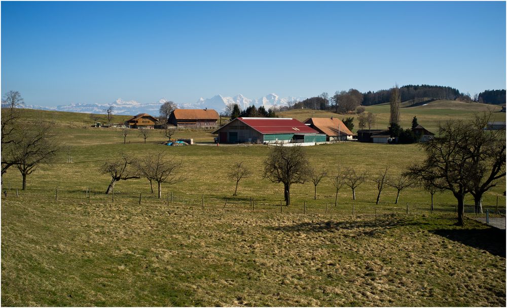 Agrarlandschaft