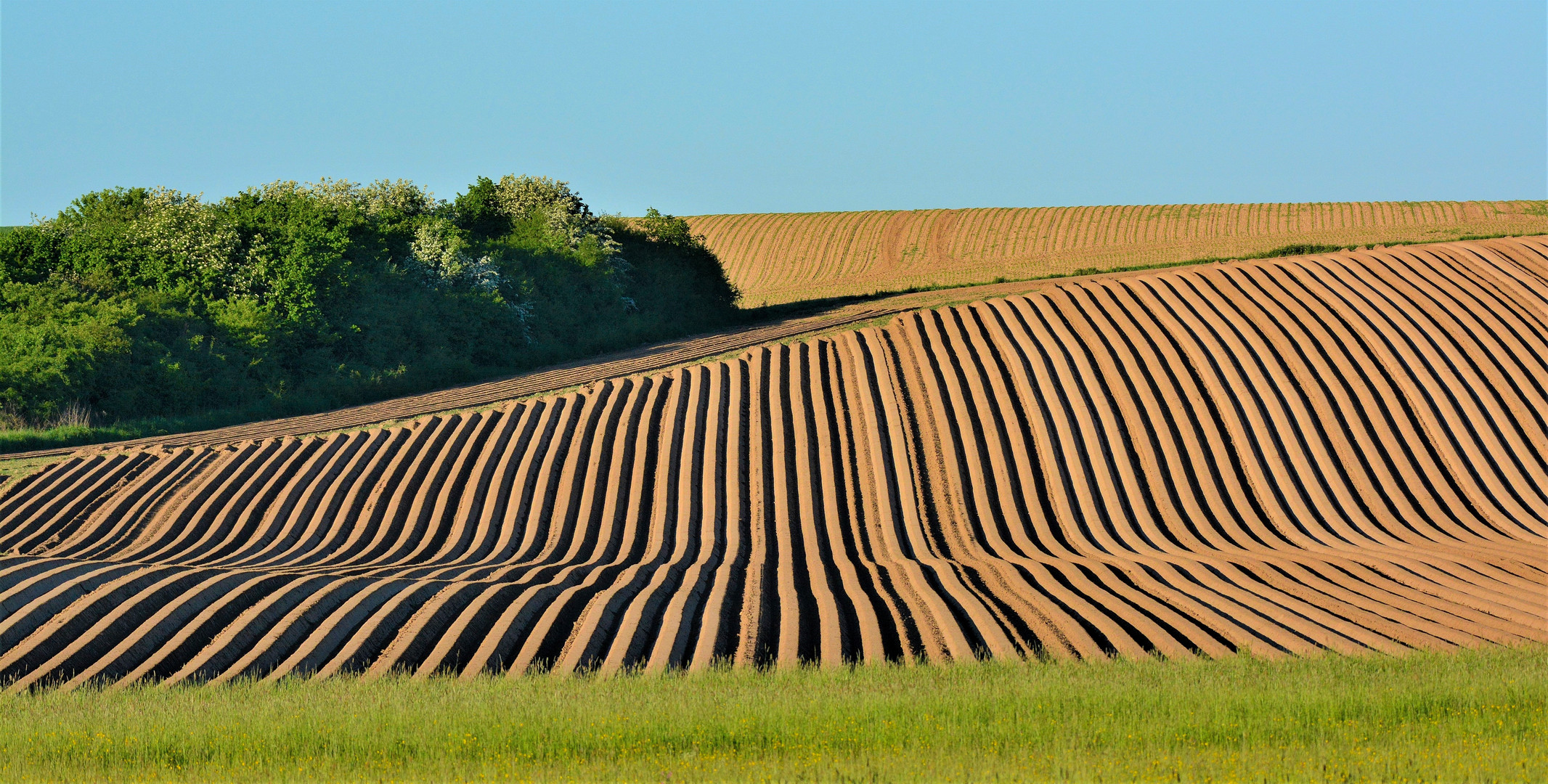  Agrarlandschaft 