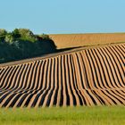  Agrarlandschaft 