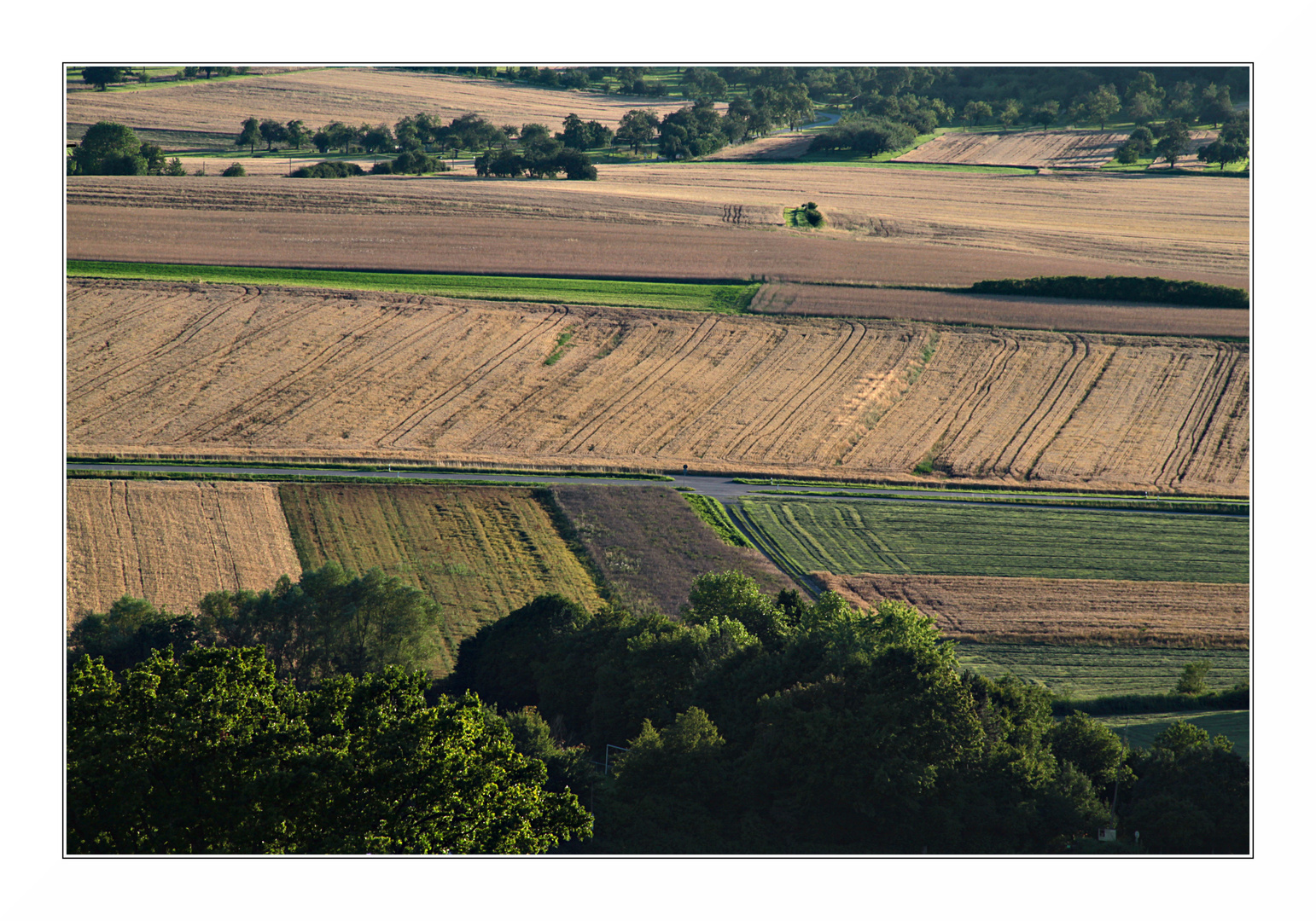 Agrarlandschaft