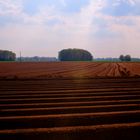 Agrarlandschaft [HDR]