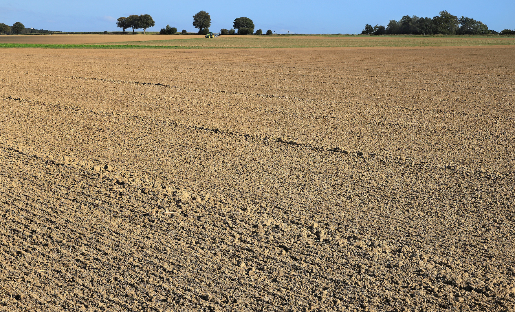 Agrarsteppe, agricultural desert 