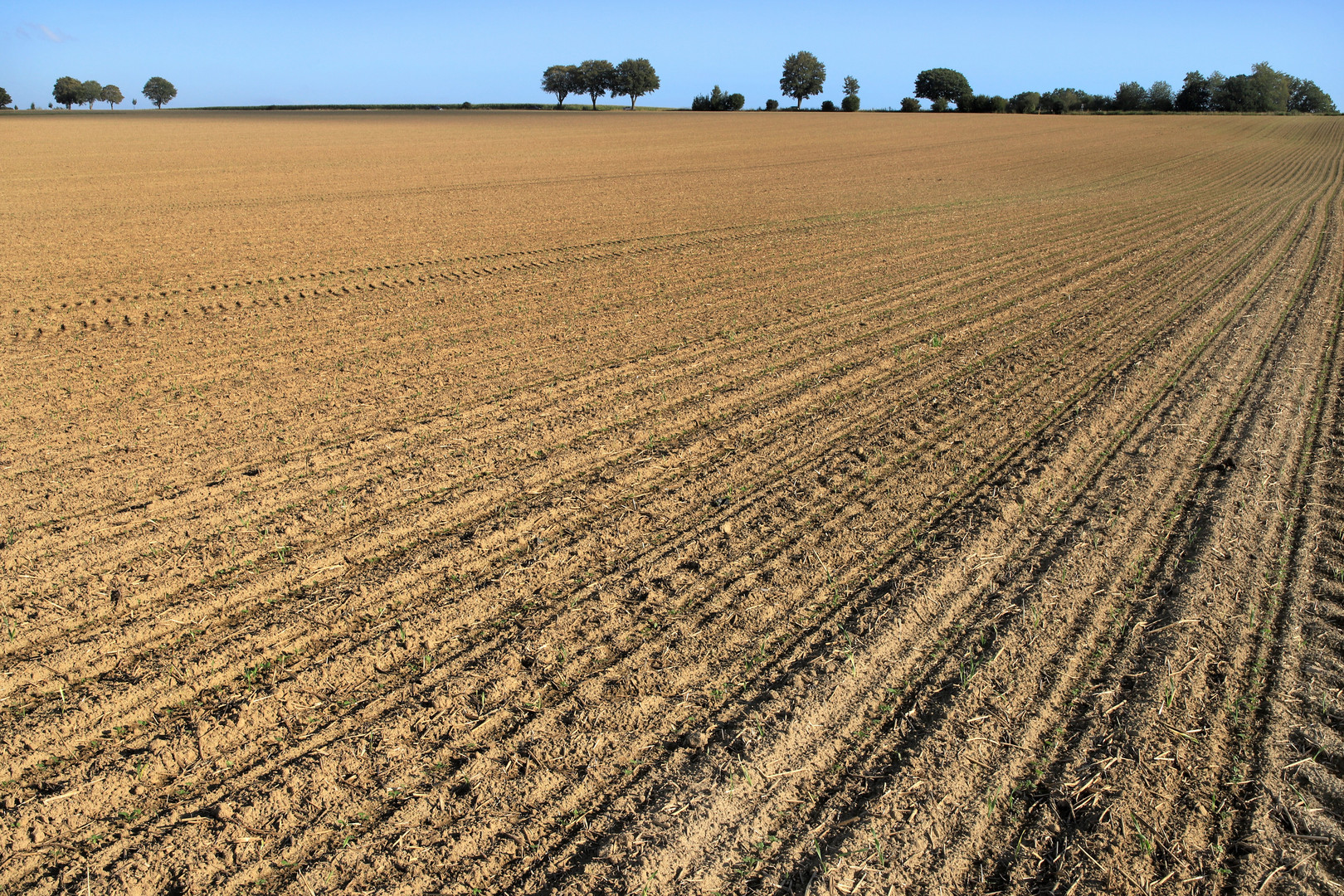 Agrarsteppe, agricultural desert 