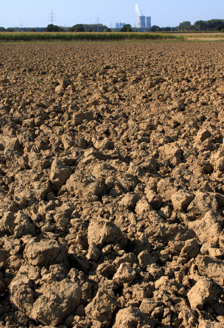 Agrarsteppe in der Soester Börde