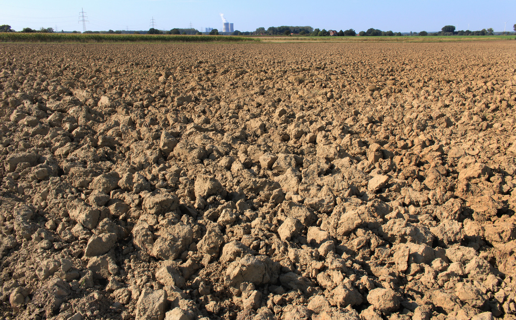 Agrarsteppe in der Soester Börde