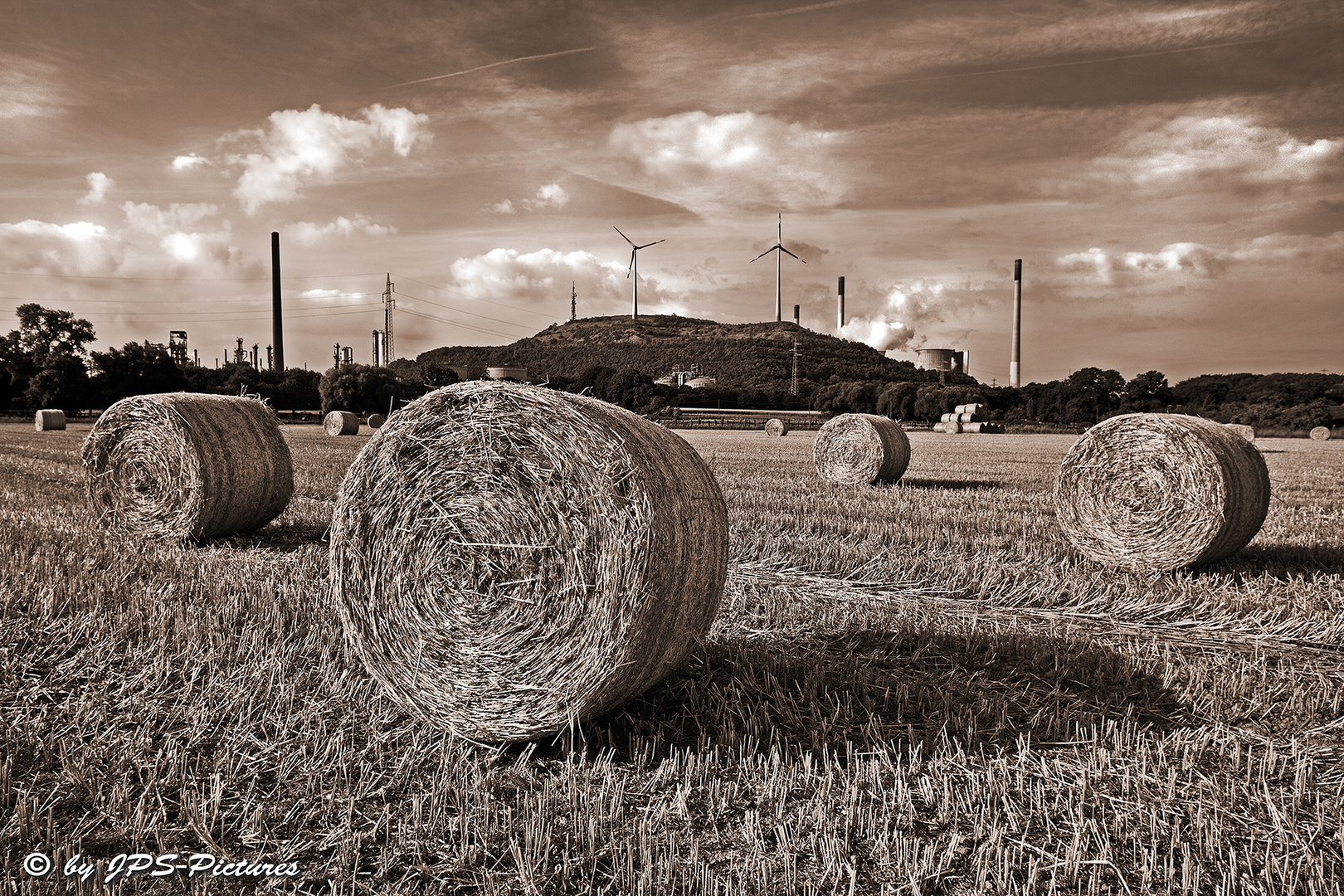 Agrarwirtschaft versus Ruhr-Oel-Industrie