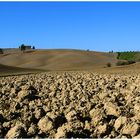 Agricoltura autunnale nella Toscana