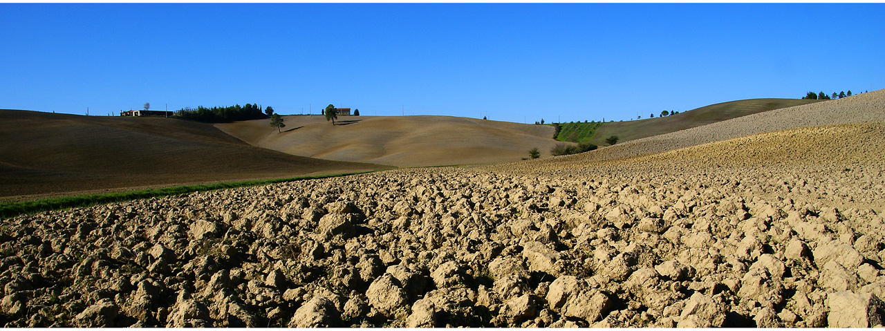 Agricoltura autunnale nella Toscana