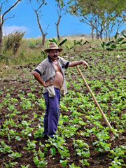 Agriculteur au champ