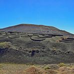 Agricultura en Lanzarote