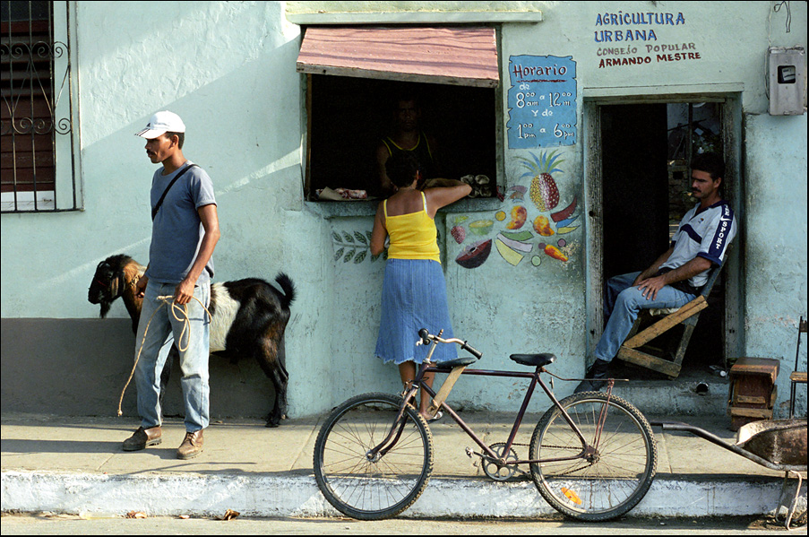 Agricultura Urbana