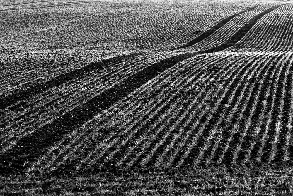 agricultural geometry