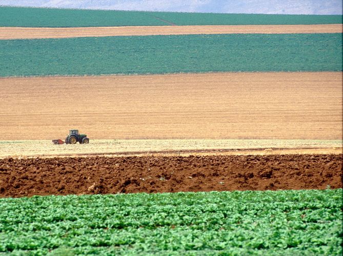 Agricultural landscape