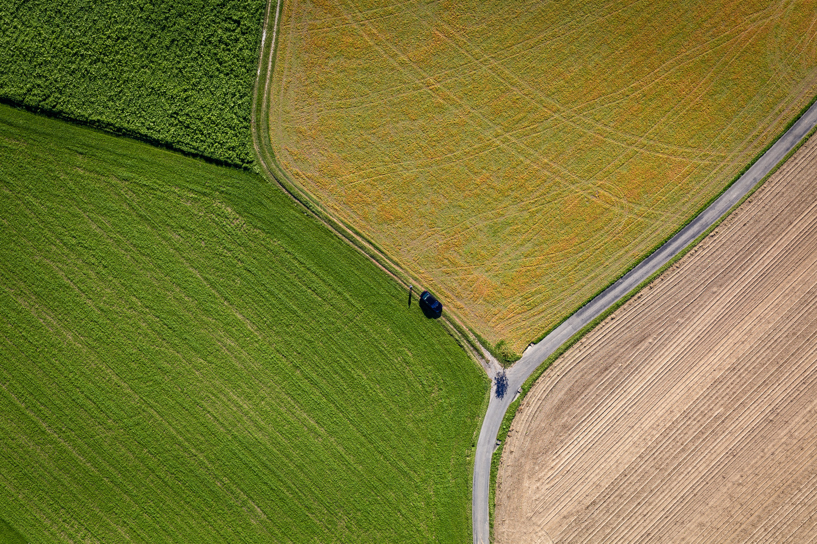 agriculture