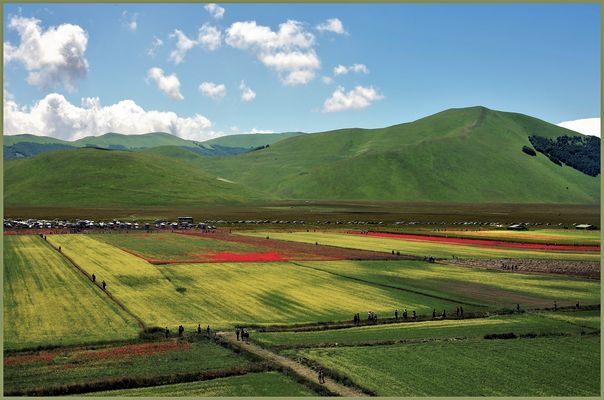 agriculture et tourisme  sur le plateau de castelluccio (1350m)