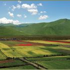 agriculture et tourisme  sur le plateau de castelluccio (1350m)