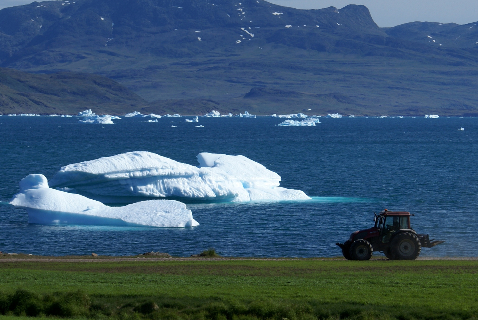 Agriculture in Greenland