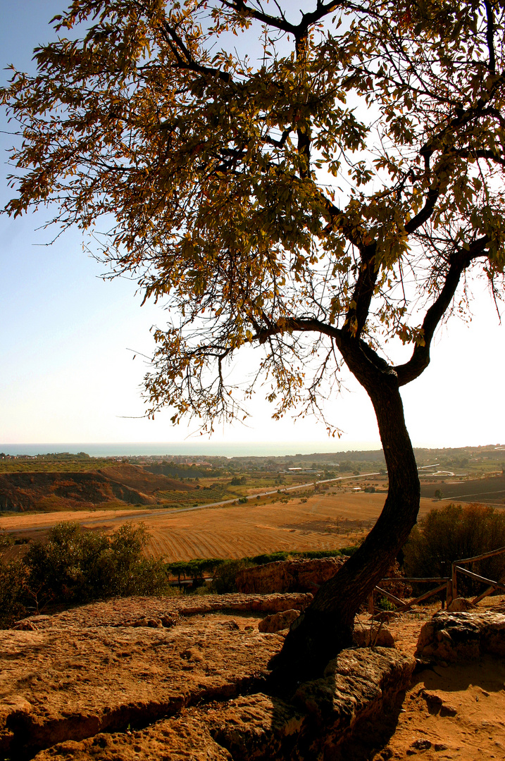 Agrigento