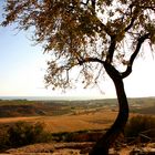 Agrigento