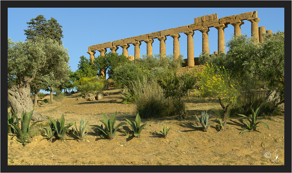 Agrigento 6