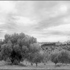 ... AGRIGENTO E LA SUA VALLE ...