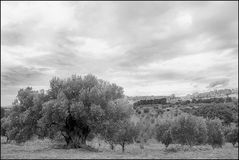 ... AGRIGENTO E LA SUA VALLE ...