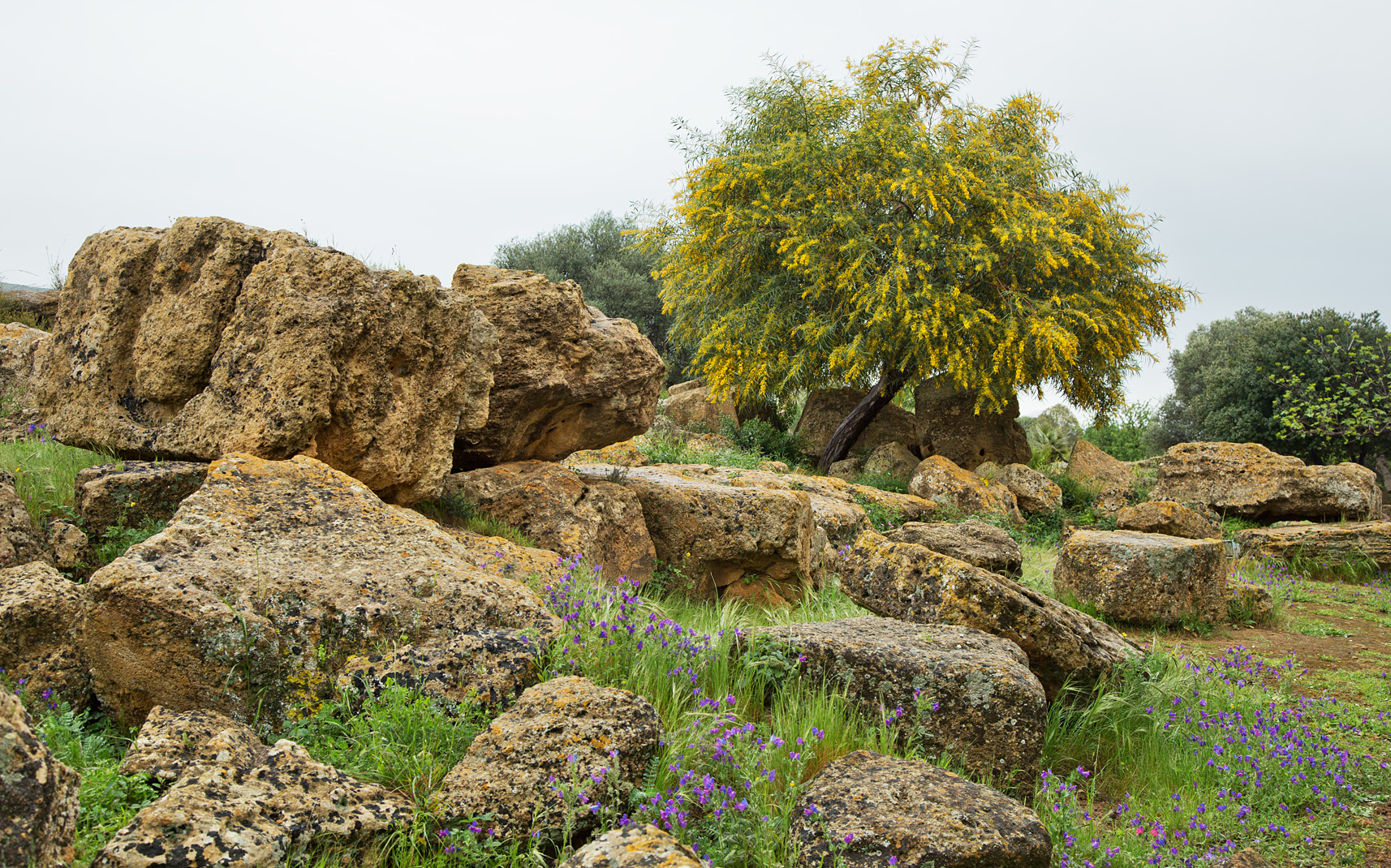 Agrigento IX