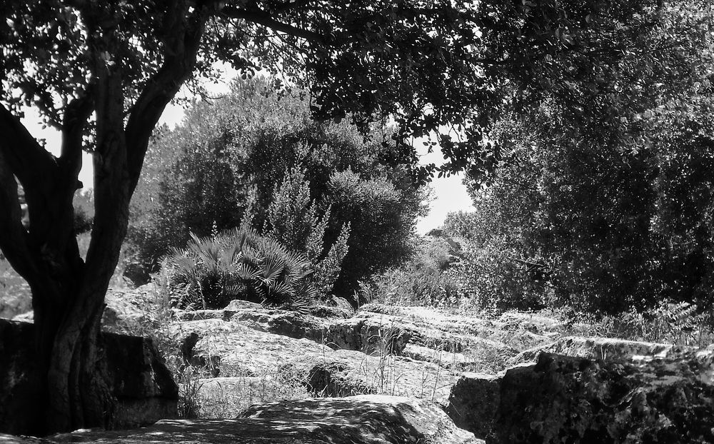 Agrigento, Sicilia - Italia VIII